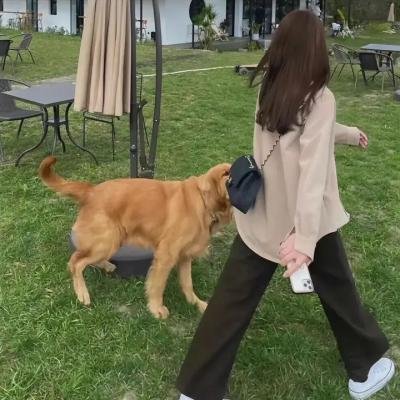 陆小凤传奇
